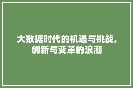 大数据时代的机遇与挑战,创新与变革的浪潮 商务信函
