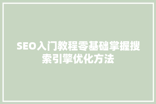 SEO入门教程零基础掌握搜索引擎优化方法