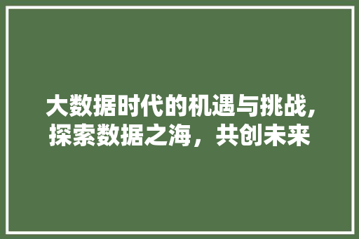 大数据时代的机遇与挑战,探索数据之海，共创未来 项目报告
