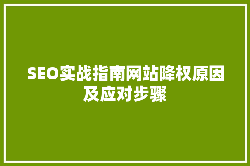 SEO实战指南网站降权原因及应对步骤