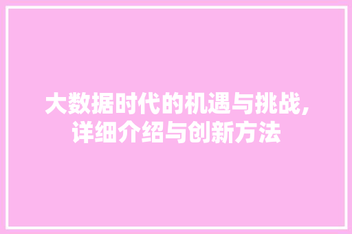 大数据时代的机遇与挑战,详细介绍与创新方法 前端技术
