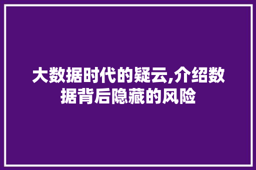 大数据时代的疑云,介绍数据背后隐藏的风险 网站建设