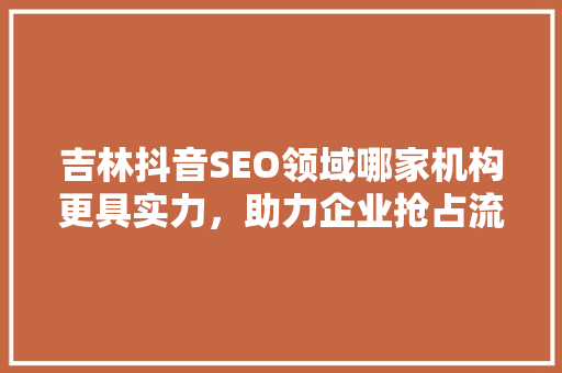 吉林抖音SEO领域哪家机构更具实力，助力企业抢占流量红利
