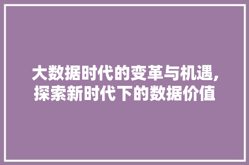 大数据时代的变革与机遇,探索新时代下的数据价值 项目报告