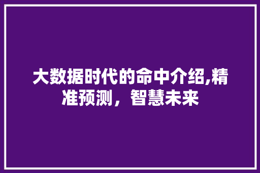 大数据时代的命中介绍,精准预测，智慧未来 后端技术