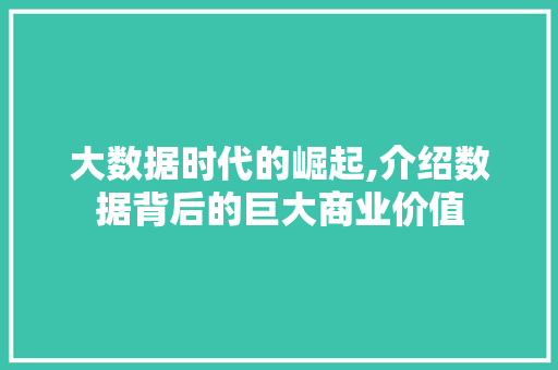 大数据时代的崛起,介绍数据背后的巨大商业价值 缓存Redis