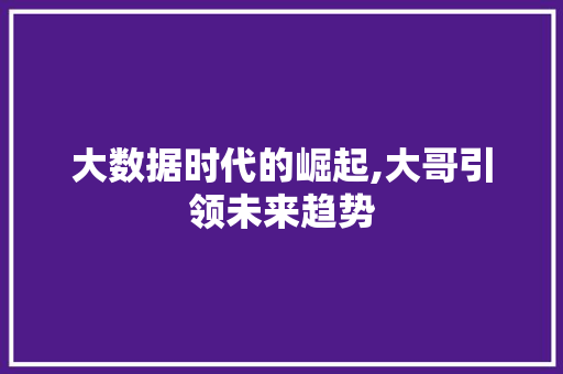 大数据时代的崛起,大哥引领未来趋势 缓存Redis