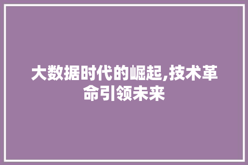 大数据时代的崛起,技术革命引领未来 缓存Redis