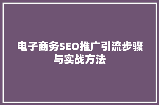 电子商务SEO推广引流步骤与实战方法