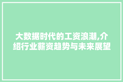 大数据时代的工资浪潮,介绍行业薪资趋势与未来展望 响应式设计