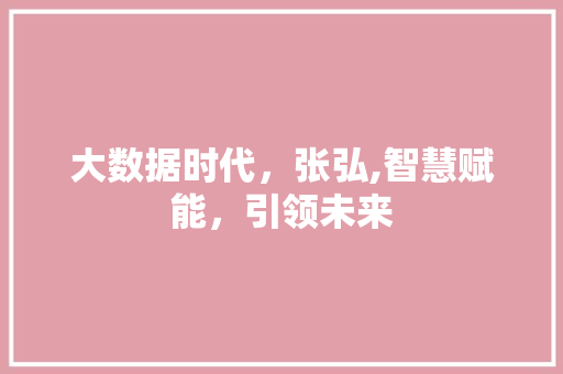 大数据时代，张弘,智慧赋能，引领未来 前端技术