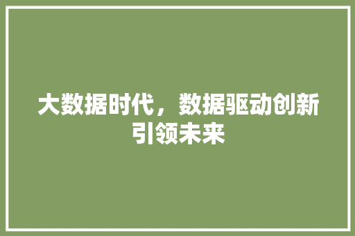 大数据时代，数据驱动创新引领未来 前端技术