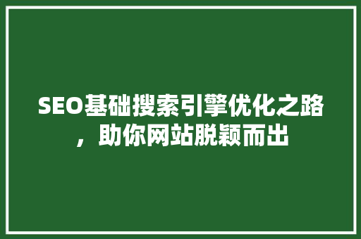 SEO基础搜索引擎优化之路，助你网站脱颖而出
