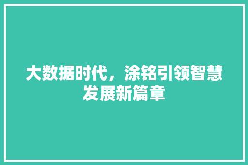 大数据时代，涂铭引领智慧发展新篇章 MySQL