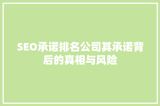 SEO承诺排名公司其承诺背后的真相与风险