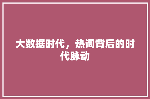 大数据时代，热词背后的时代脉动 市场营销范文