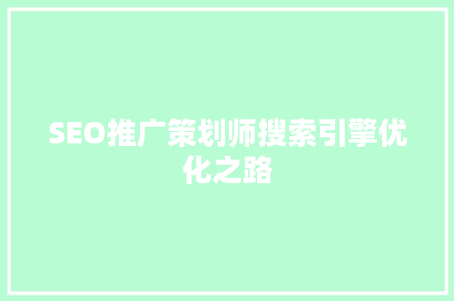 SEO推广策划师搜索引擎优化之路