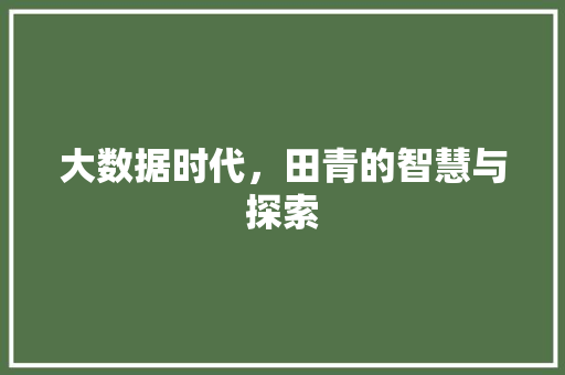 大数据时代，田青的智慧与探索