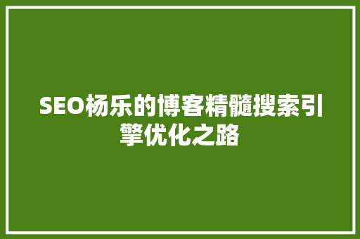 SEO杨乐的博客精髓搜索引擎优化之路