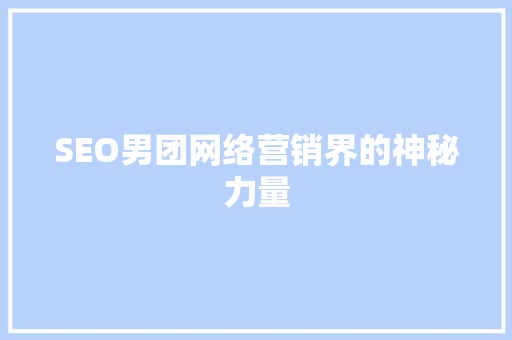 SEO男团网络营销界的神秘力量
