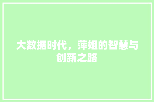 大数据时代，萍姐的智慧与创新之路 项目报告
