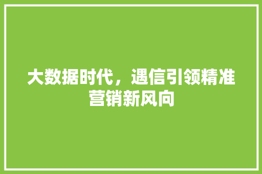 大数据时代，遇信引领精准营销新风向 网站建设