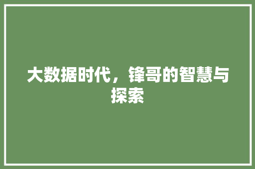 大数据时代，锋哥的智慧与探索 商务信函