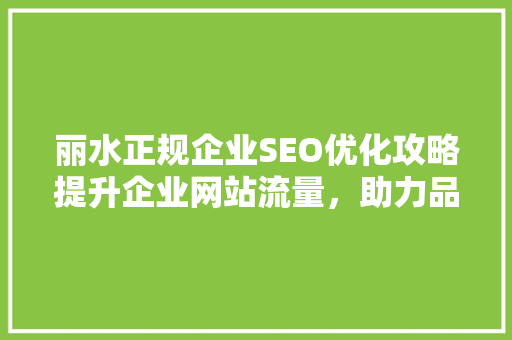 丽水正规企业SEO优化攻略提升企业网站流量，助力品牌腾飞