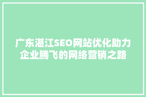 广东湛江SEO网站优化助力企业腾飞的网络营销之路
