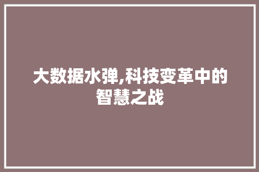 大数据水弹,科技变革中的智慧之战 商务信函