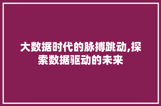 大数据时代的脉搏跳动,探索数据驱动的未来