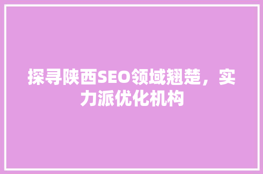探寻陕西SEO领域翘楚，实力派优化机构