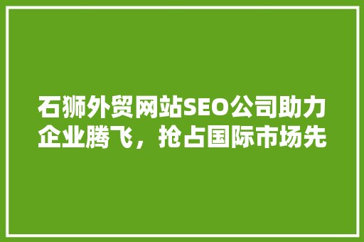 石狮外贸网站SEO公司助力企业腾飞，抢占国际市场先机