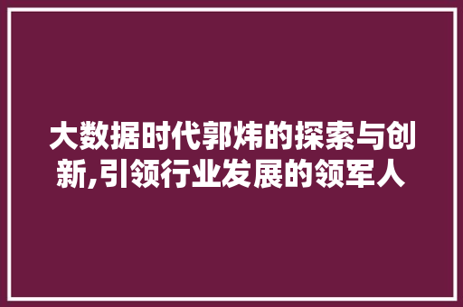 大数据时代郭炜的探索与创新,引领行业发展的领军人物 缓存Redis