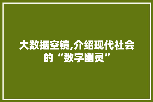 大数据空镜,介绍现代社会的“数字幽灵” 项目报告