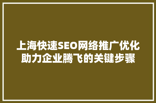 上海快速SEO网络推广优化助力企业腾飞的关键步骤