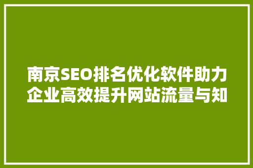 南京SEO排名优化软件助力企业高效提升网站流量与知名度