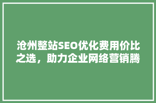 沧州整站SEO优化费用价比之选，助力企业网络营销腾飞