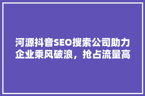 河源抖音SEO搜索公司助力企业乘风破浪，抢占流量高地