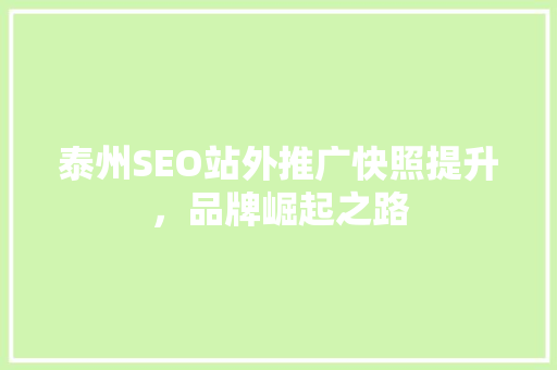 泰州SEO站外推广快照提升，品牌崛起之路