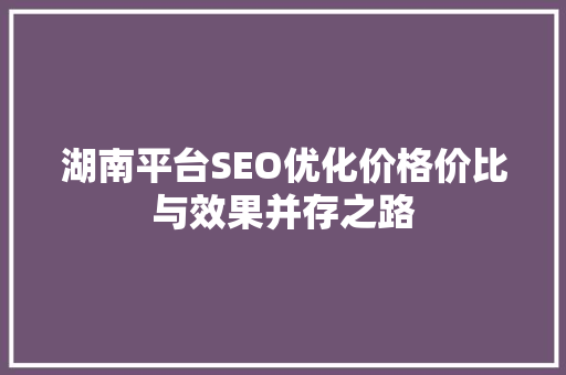 湖南平台SEO优化价格价比与效果并存之路