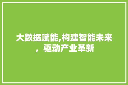 大数据赋能,构建智能未来，驱动产业革新 商务信函