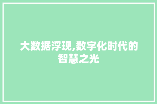 大数据浮现,数字化时代的智慧之光 项目报告