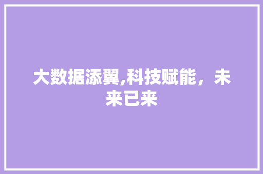 大数据添翼,科技赋能，未来已来 项目报告