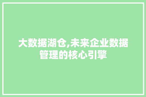 大数据湖仓,未来企业数据管理的核心引擎 项目报告