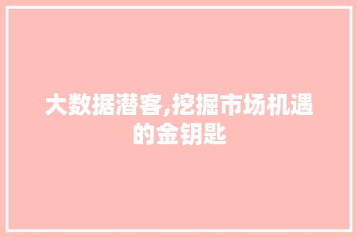 大数据潜客,挖掘市场机遇的金钥匙 商务信函