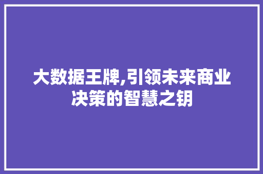 大数据王牌,引领未来商业决策的智慧之钥 后端技术