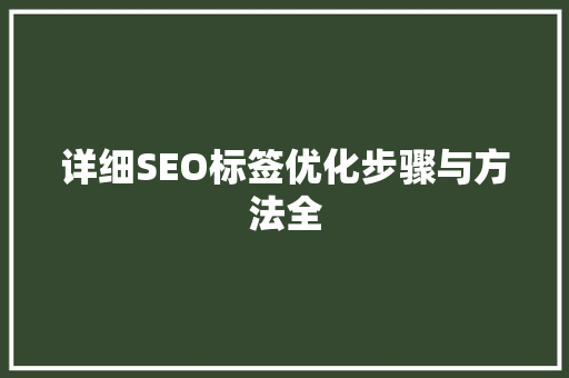详细SEO标签优化步骤与方法全