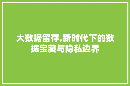 大数据留存,新时代下的数据宝藏与隐私边界 前端技术