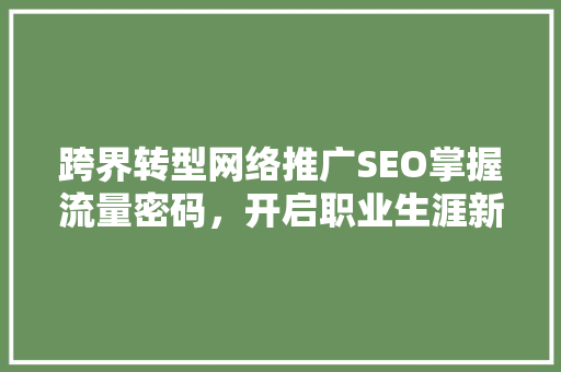 跨界转型网络推广SEO掌握流量密码，开启职业生涯新篇章